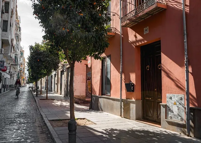 Ibericabeds Realejo
