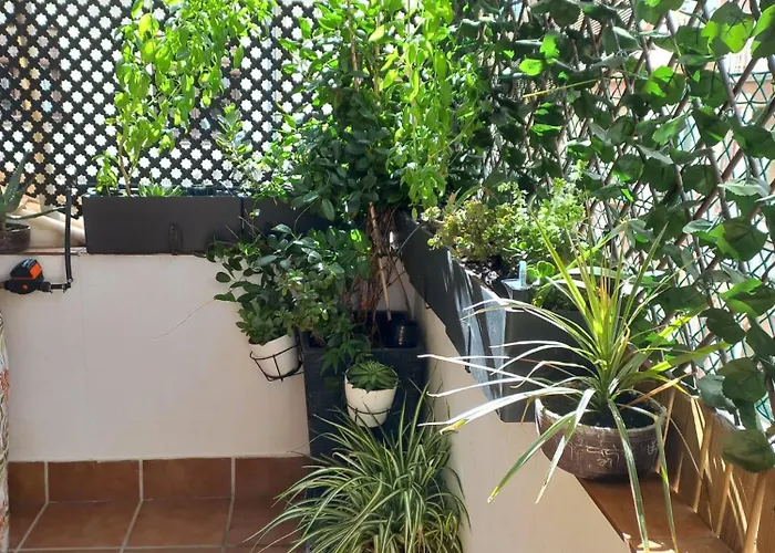 Atico Exclusivo En El Centro De Granada